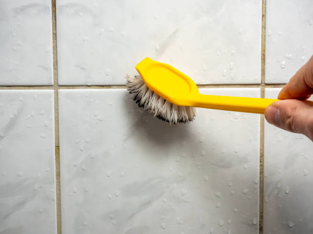 Best Mold Removal Company Near Me  in Monette, AR